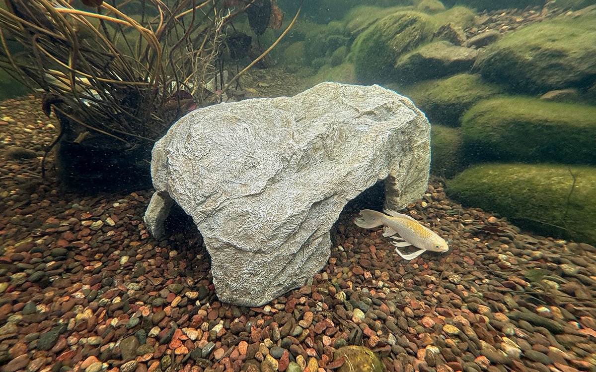 Faux Rock Fish Cave Large - 30" L X 18" W (76 X 46 Cm) – image 7