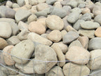 Sespe Wild River Cobble
