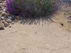 Honey Quartz Decomposed Granite