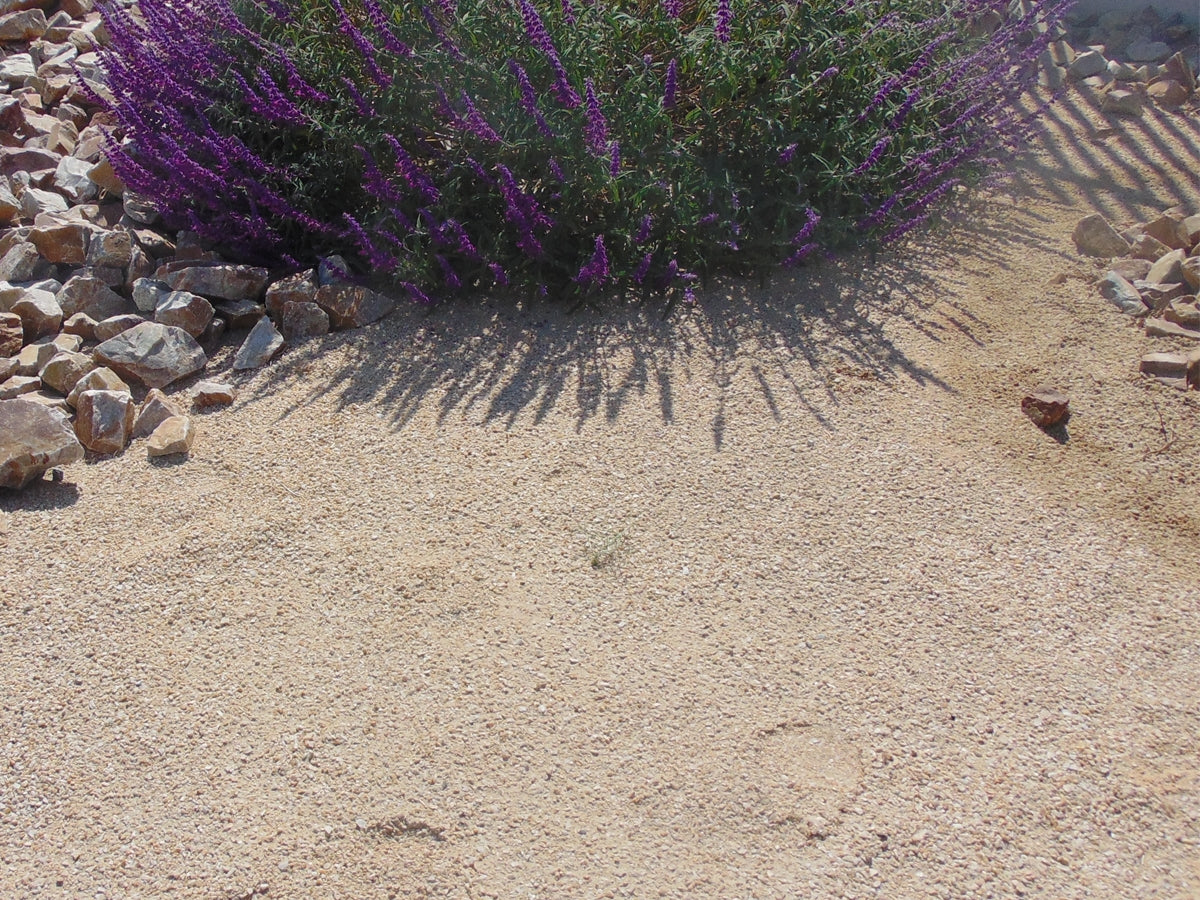 Honey Quartz Decomposed Granite