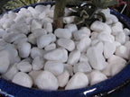 Snow White Pebbles