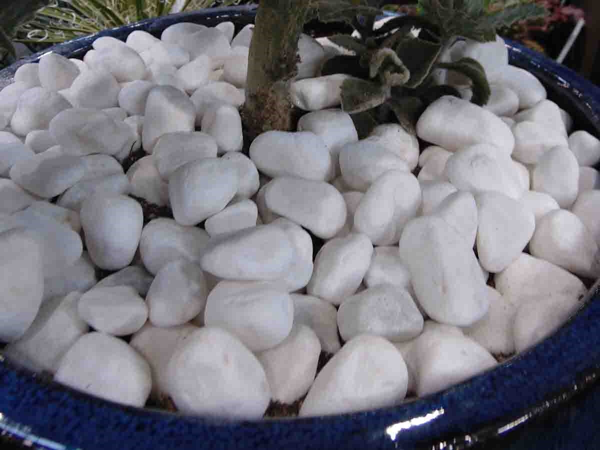 Snow White Pebbles