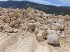 Lompoc White