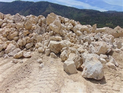 Lompoc White