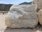 Lompoc White