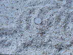 Arizona River Pebble