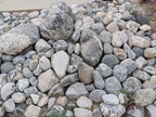 San Gabriel River Rock