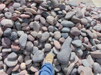 Arizona River Rock