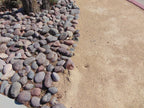 Arizona River Rock