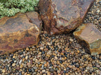 Cantos rodados de río Sonoran Shiner