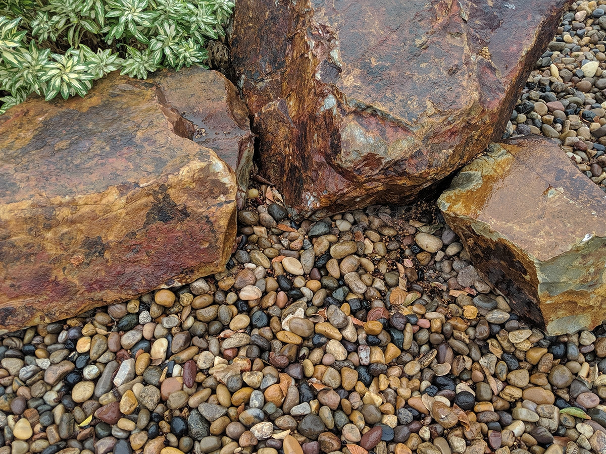 Cantos rodados de río Sonoran Shiner
