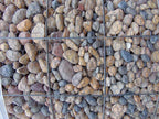 Cantos rodados de río Sonoran Shiner