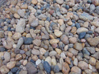 Cantos rodados de río Sonoran Shiner