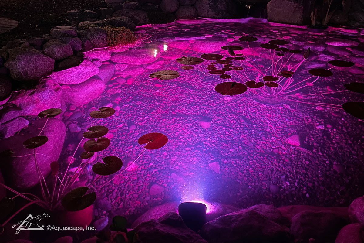 Color-Changing Wide-Angle Light 11-Watt – image 2