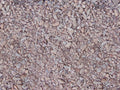 Belmont Gold Decomposed Granite