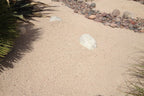 Champagne Rose Decomposed Granite