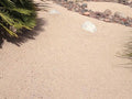 Champagne Rose Decomposed Granite