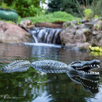 Floating Alligator Decoy – image 5