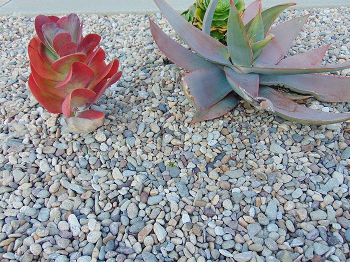 Imperial Del Rio Pebbles