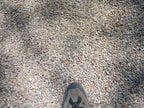 Imperial Del Rio Pea Gravel