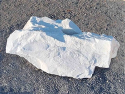 Ultra White