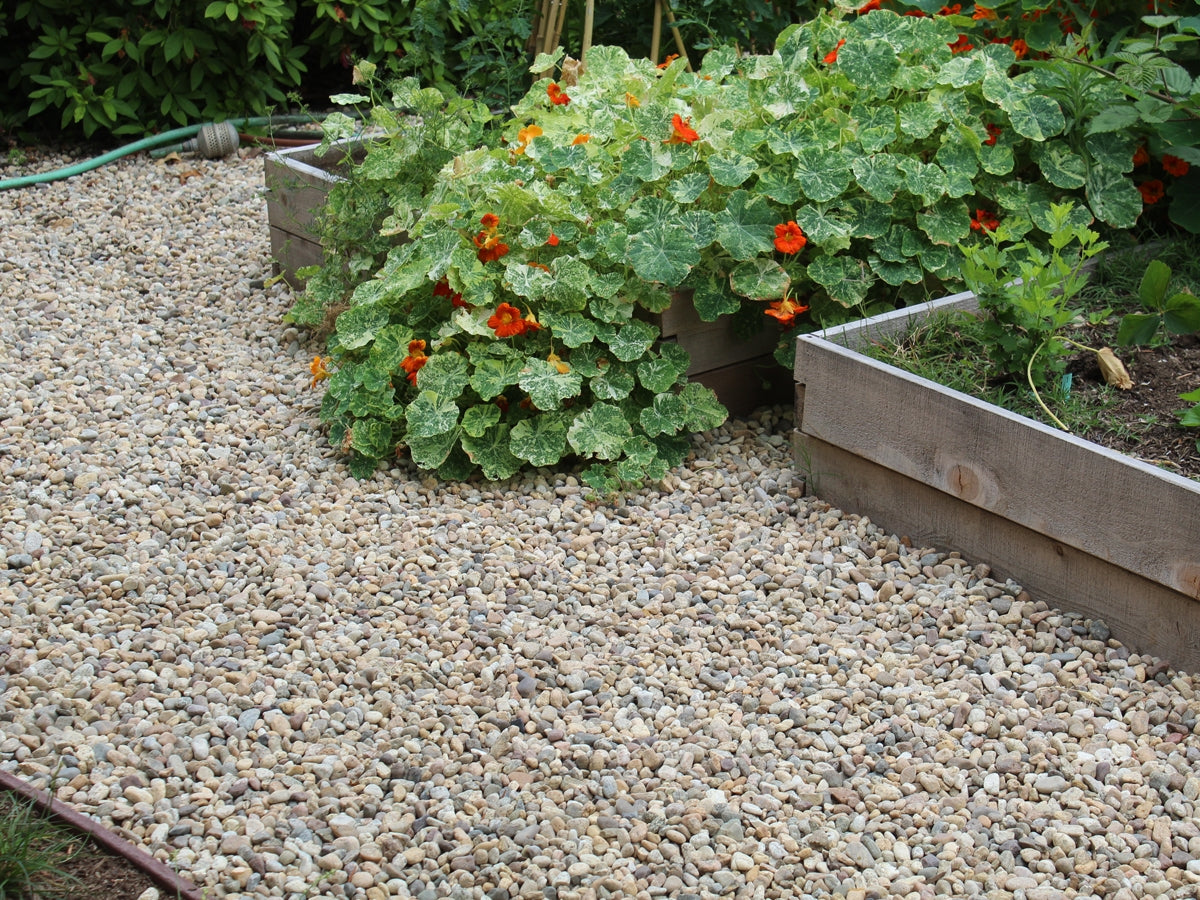 Del Rio Pebbles