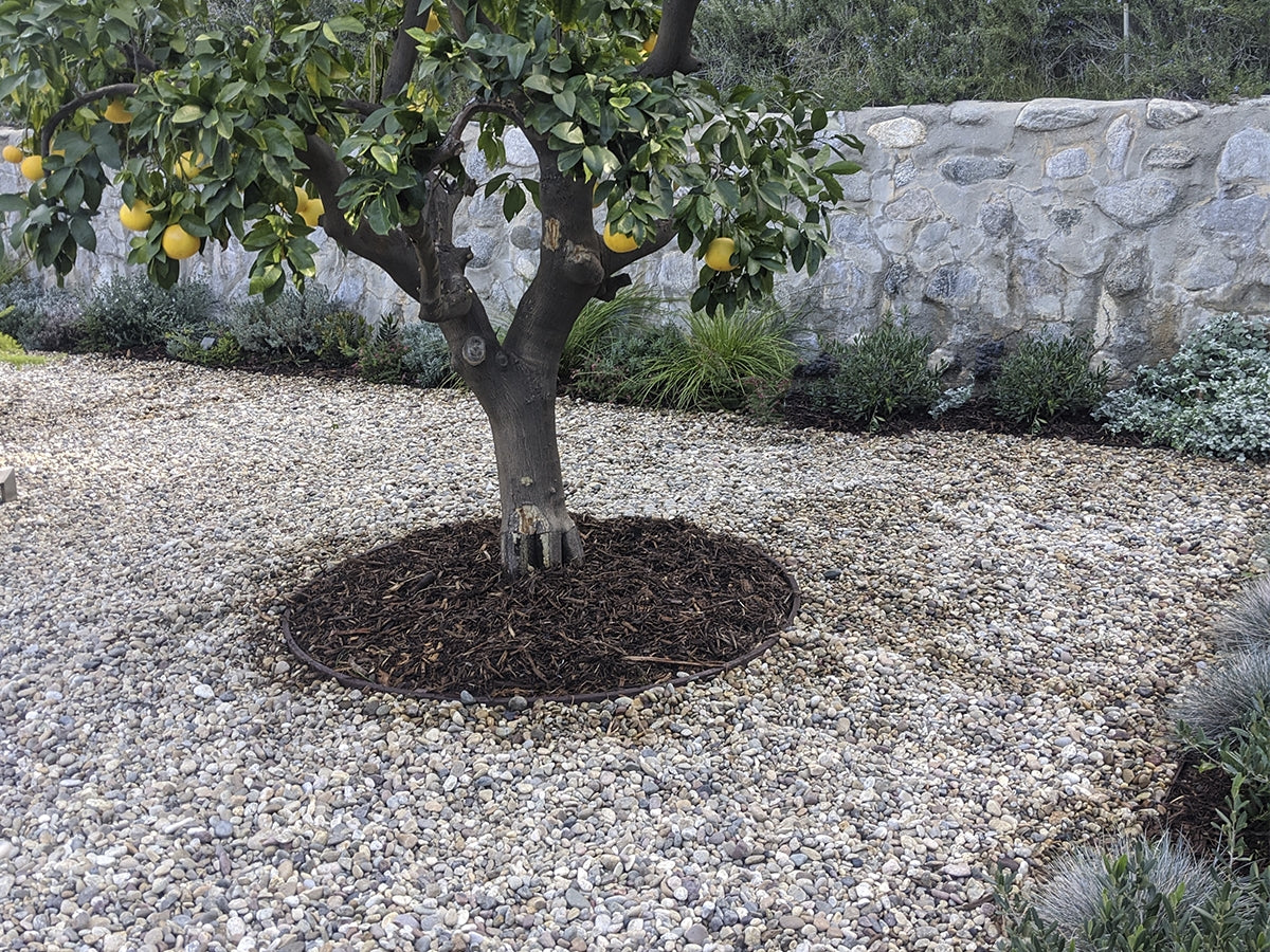 Del Rio Pebbles