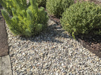 Del Rio Pebbles