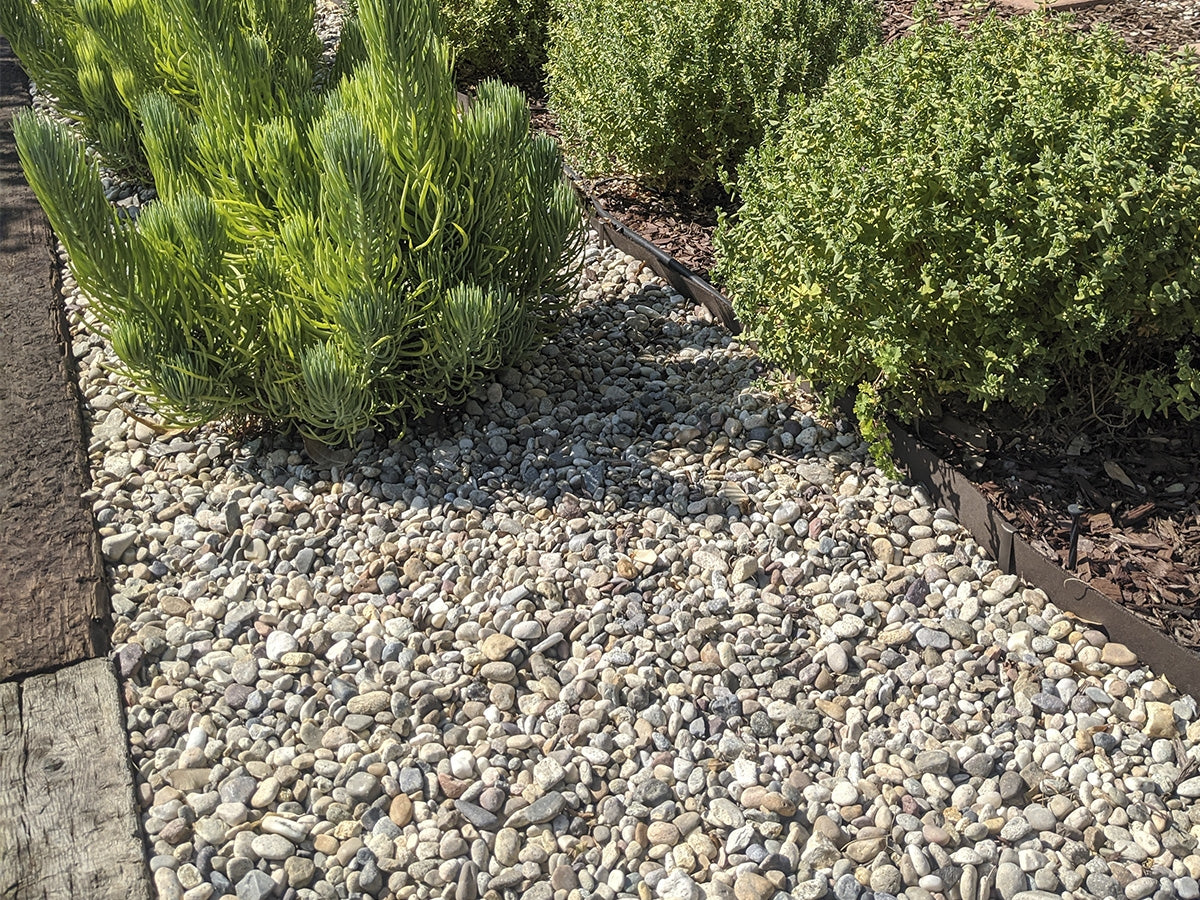 Del Rio Pebbles