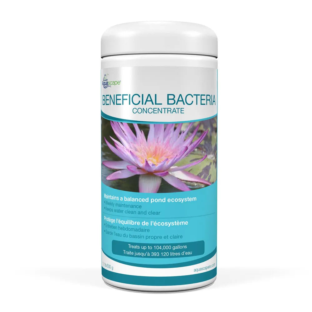 Beneficial Bacteria Concentrate - 4.4 Oz / 125 G – image 6