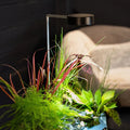 Aquagarden Plant Light