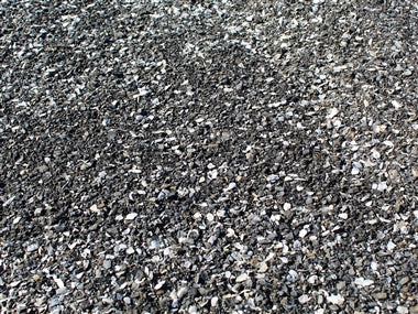 Black Pearl Bocce Blend