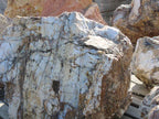 Polka Dot Agate Rocas Grandes solamente