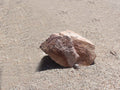 Champagne Granite