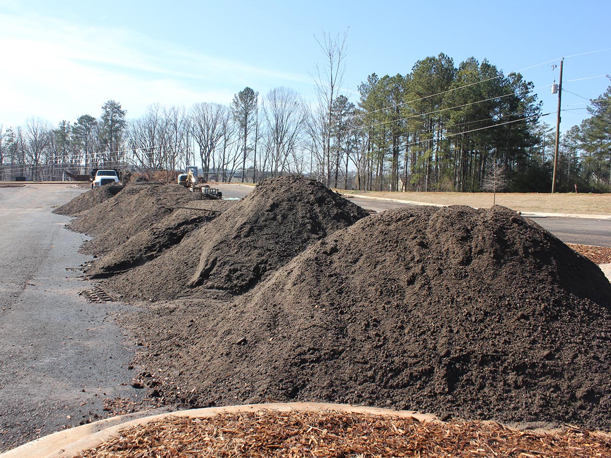 Bioswale Custom Media