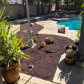 A landscaped backyard patio area with a swimming pool, Black Cherry Lava Cinders beds, potted plants, a tall white globe lamp post, trees, and a stone wall in the background.