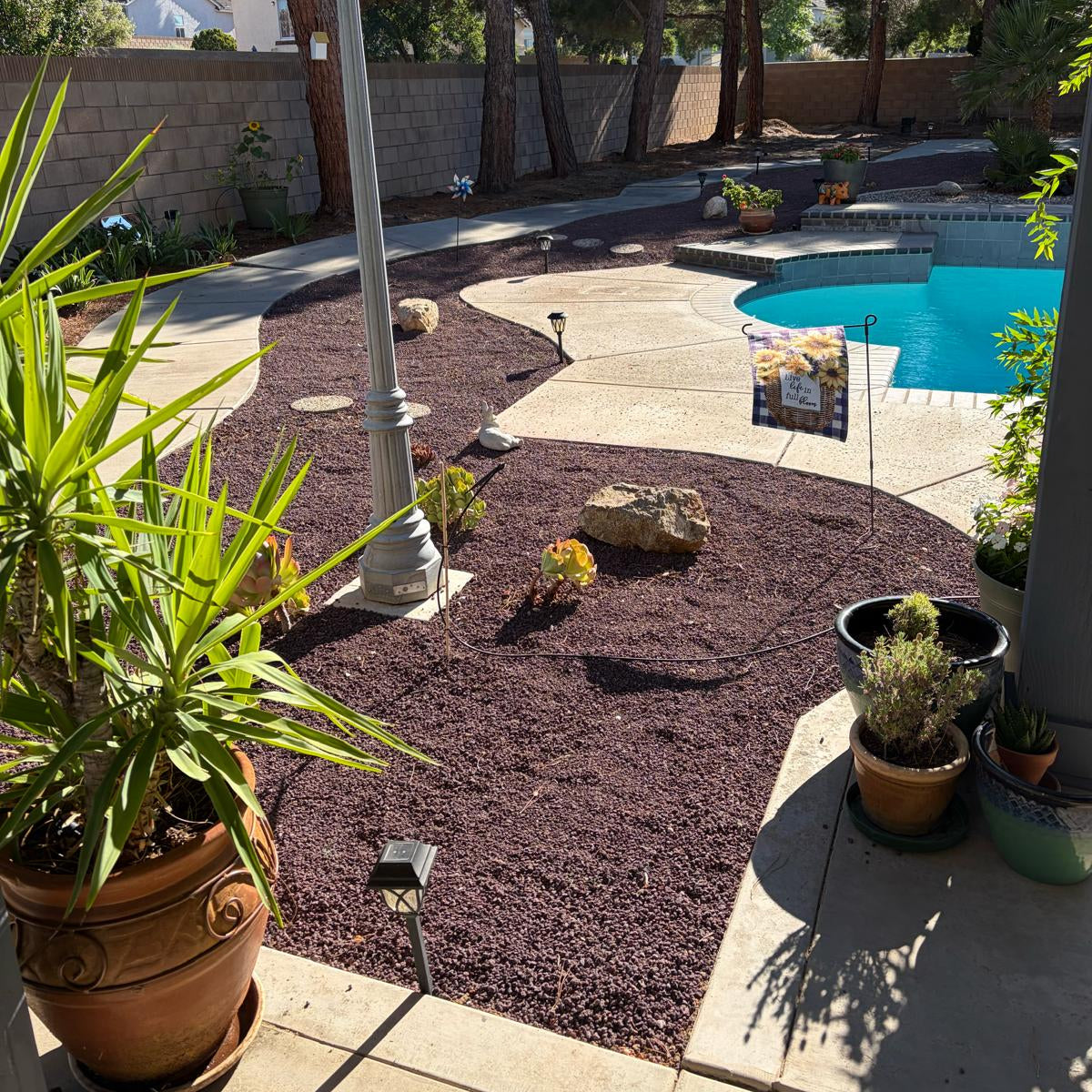 A landscaped backyard patio area with a swimming pool, Black Cherry Lava Cinders beds, potted plants, a tall white globe lamp post, trees, and a stone wall in the background.