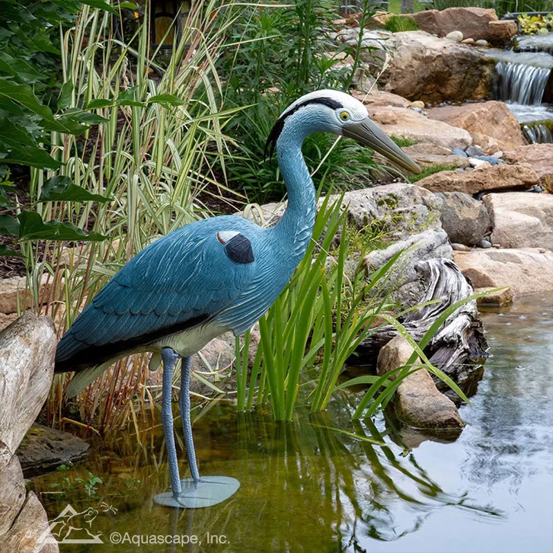 Blue Heron Decoy – image 2