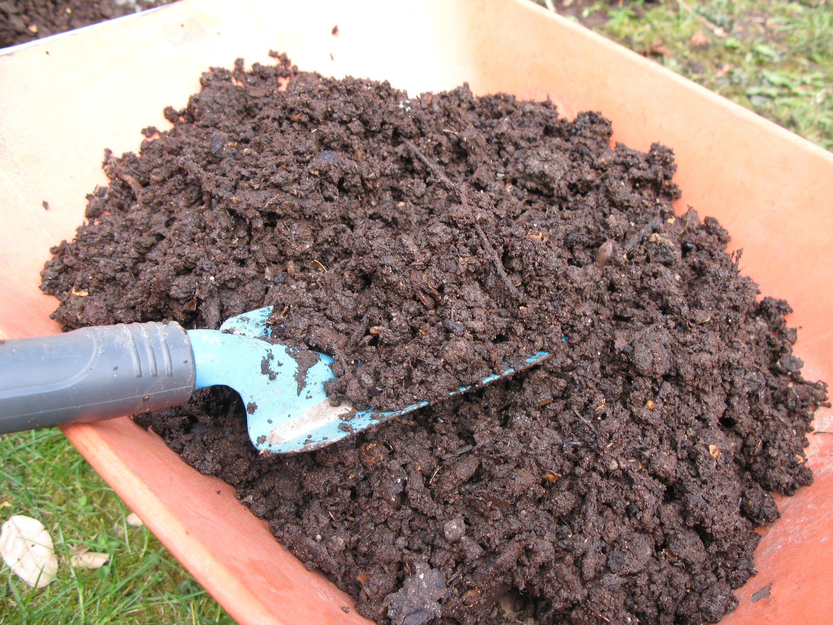 Organic Soil Mix