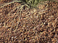 Apache Brown Gravel