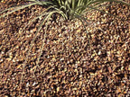 Apache Brown Gravel