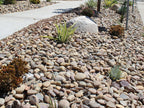 Mission River Rock Cobbles
