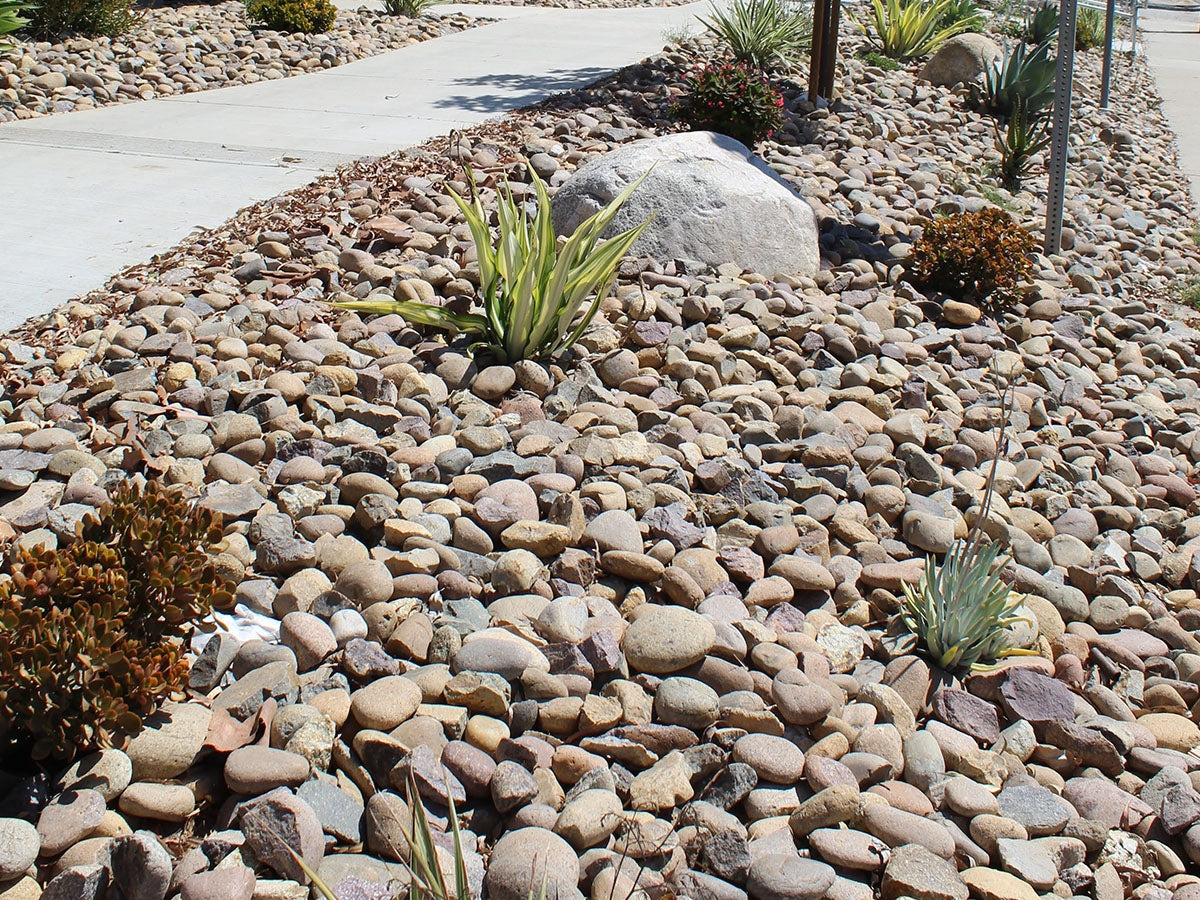 Mission River Rock Cobbles