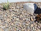 Mission River Rock Cobbles