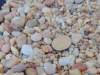 Salmon Bay Pebbles