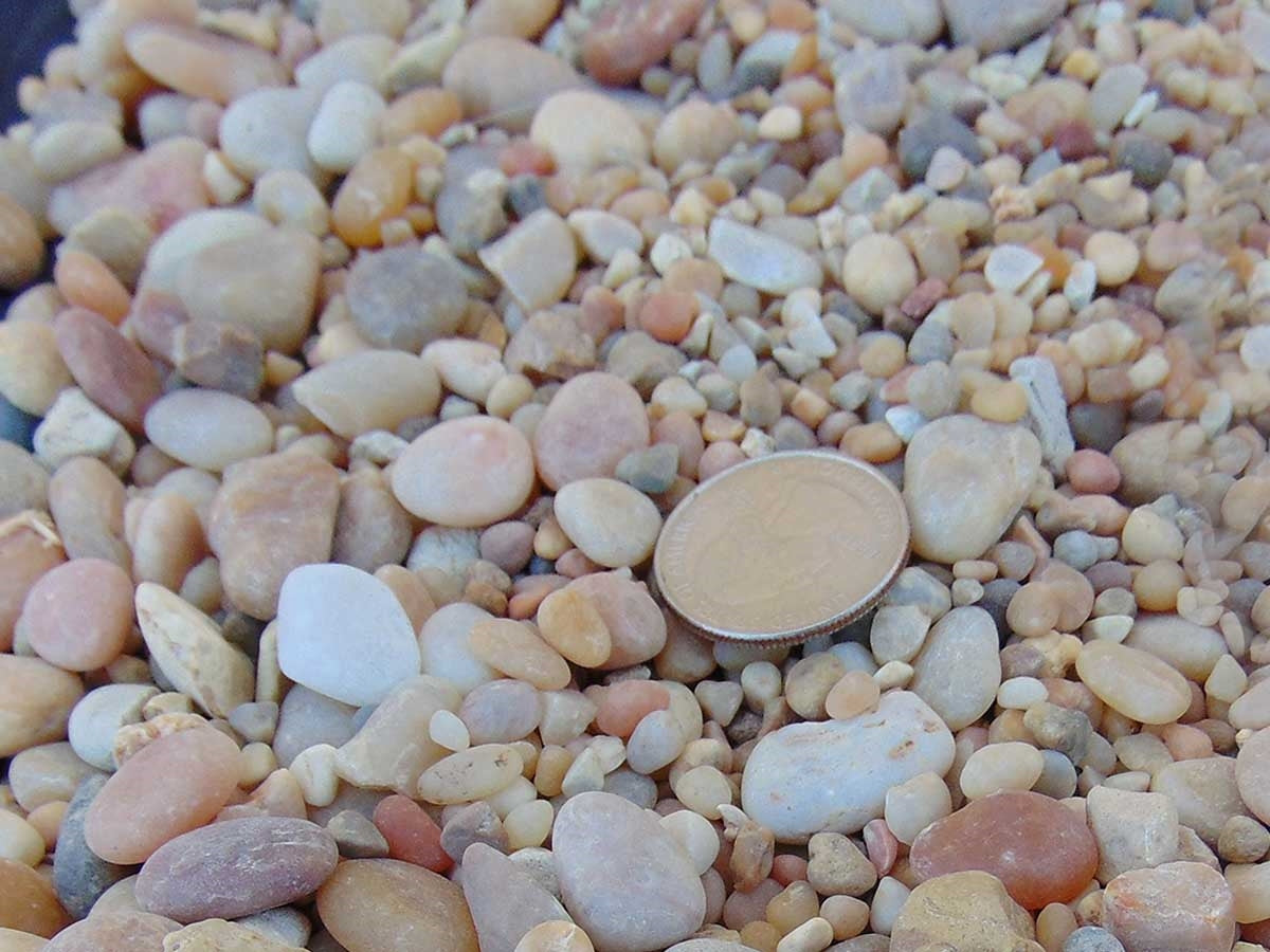 Salmon Bay Pebbles