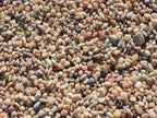 Salmon Bay Pebbles