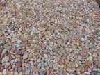 Salmon Bay Pebbles