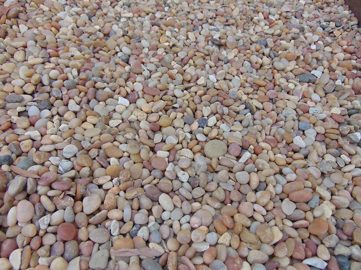 Salmon Bay Pebbles