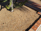 Salmon Bay Pebbles